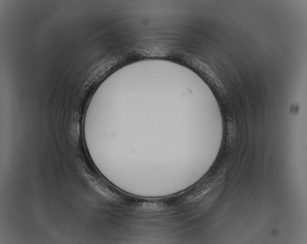 X0000096990541200803071055