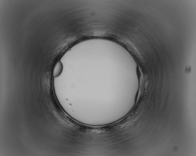 X0000096990542200803071055