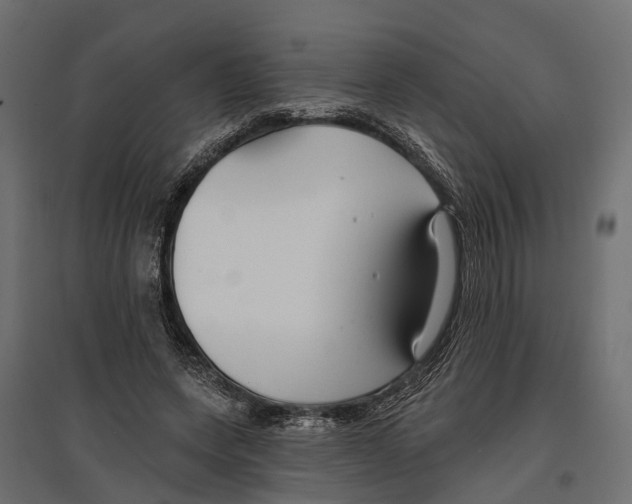 X0000096990543200803071055