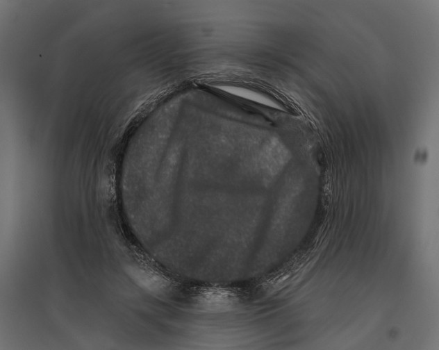 X0000096990547200803071055