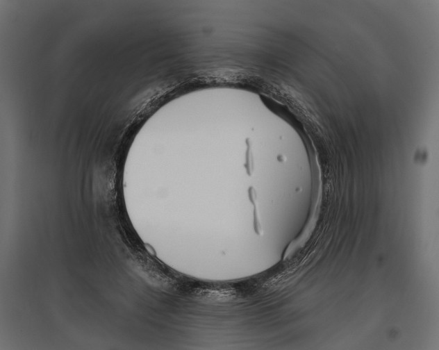 X0000096990548200803071055