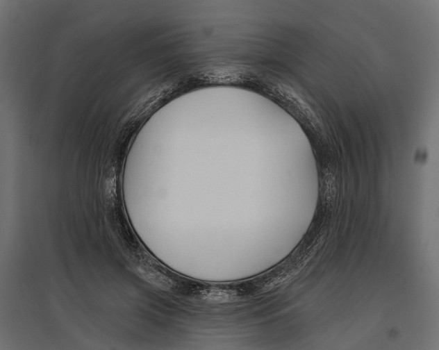 X0000096990549200803071056