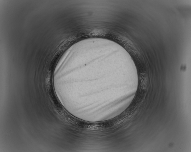 X0000096990550200803071056