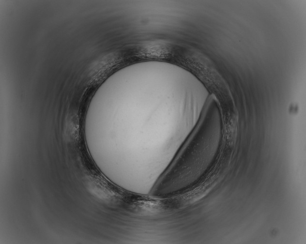 X0000096990552200803071056