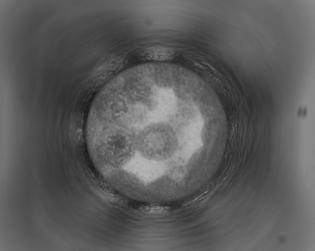 X0000096990553200803071056