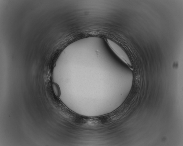 X0000096990555200803071056