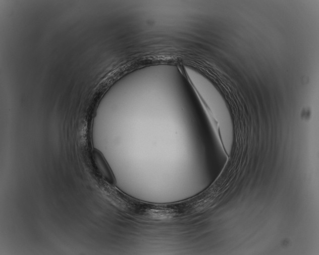 X0000096990556200803071056