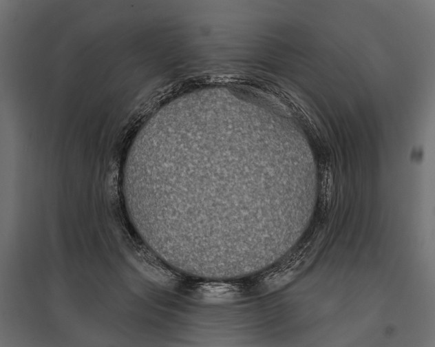 X0000096990557200803071056