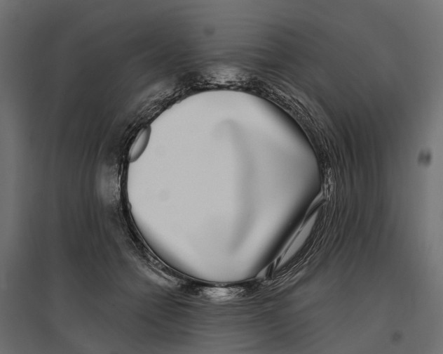 X0000096990558200803071056