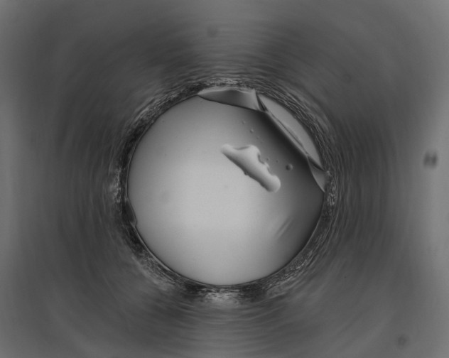 X0000096990560200803071056