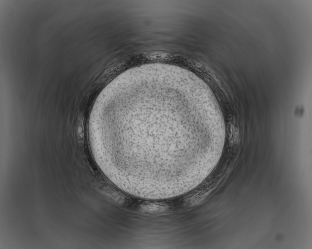 X0000096990561200803071056