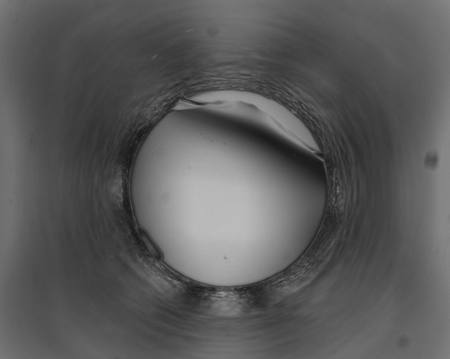 X0000096990562200803071056