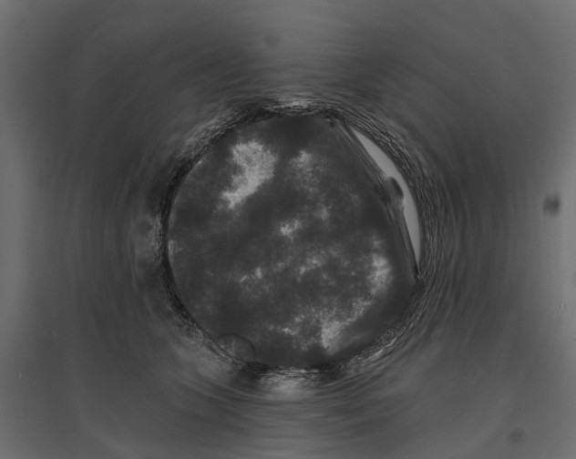 X0000096990563200803071056