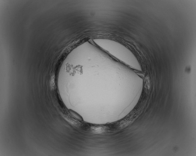 X0000096990564200803071056