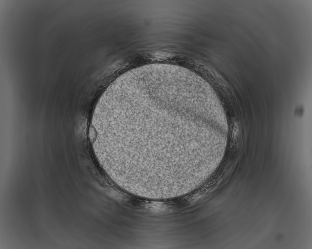 X0000096990565200803071056