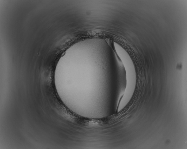 X0000096990566200803071056