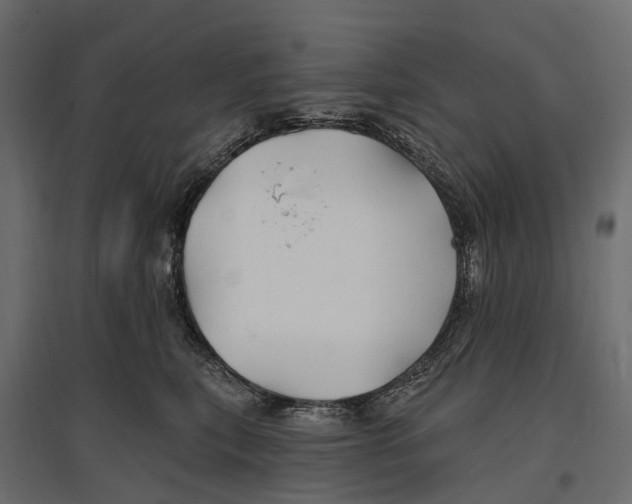 X0000096990567200803071056