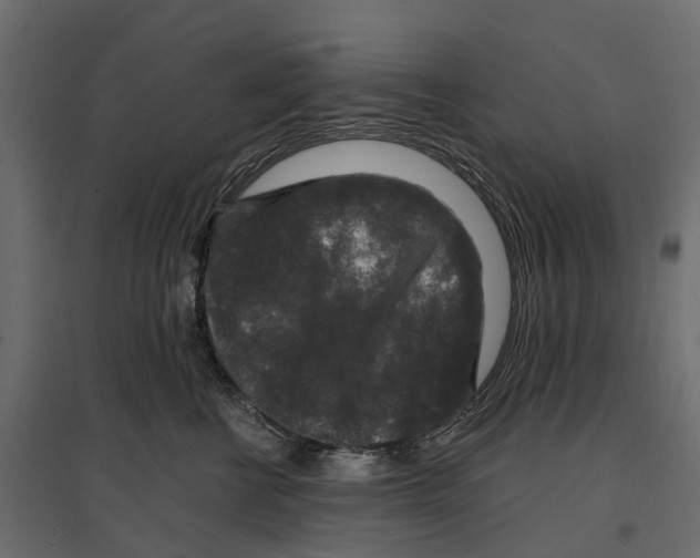 X0000096990570200803071056