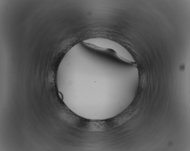 X0000096990571200803071056