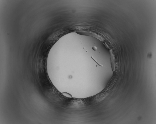 X0000096990572200803071056