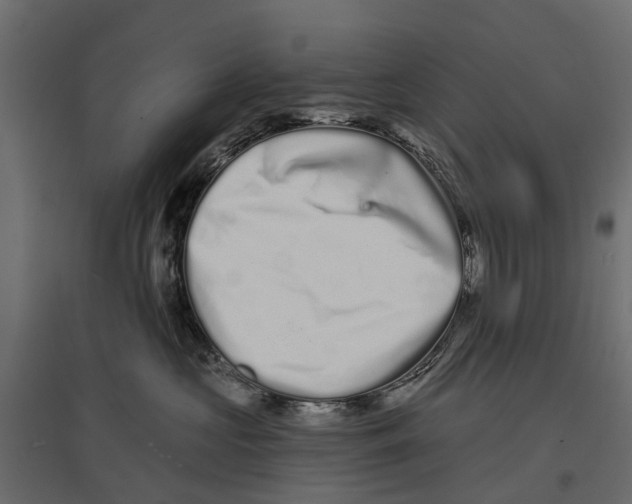 X0000096990573200803071056