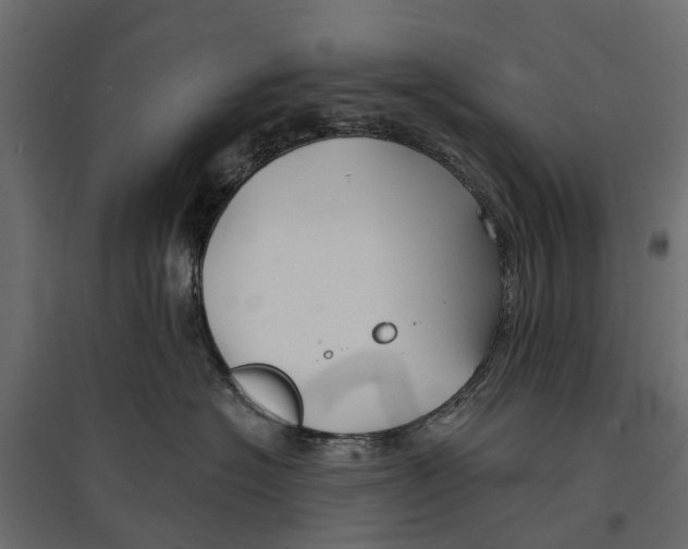 X0000096990574200803071056