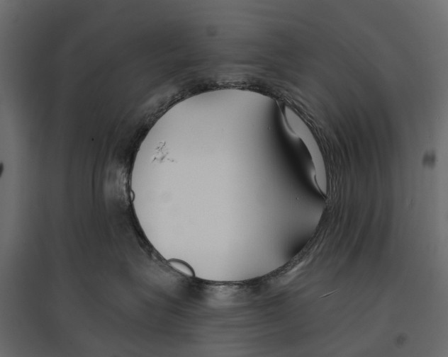 X0000096990575200803071056