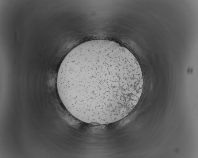 X0000096990576200803071056