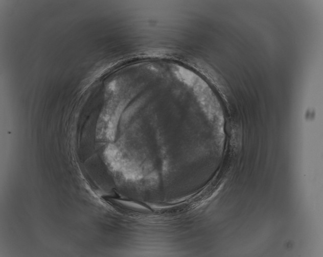 X0000096990577200803071055