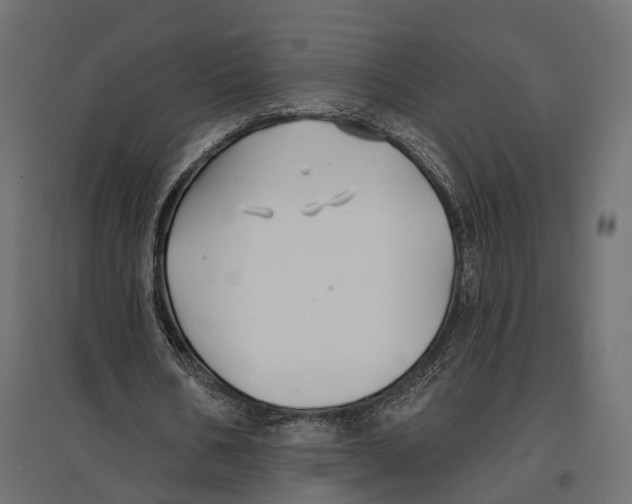 X0000096990578200803071055