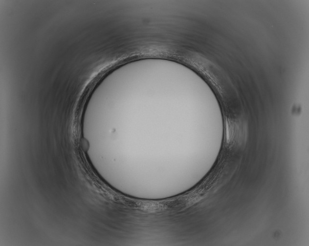 X0000096990579200803071055