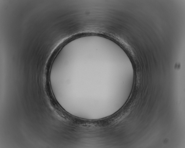 X0000096990580200803071055