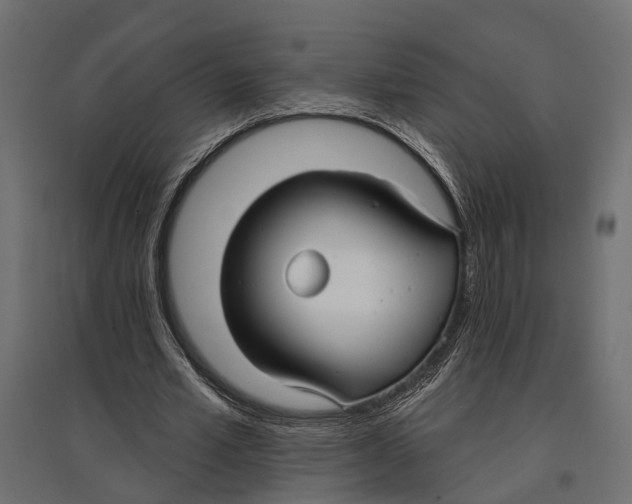 X0000096990581200803071055