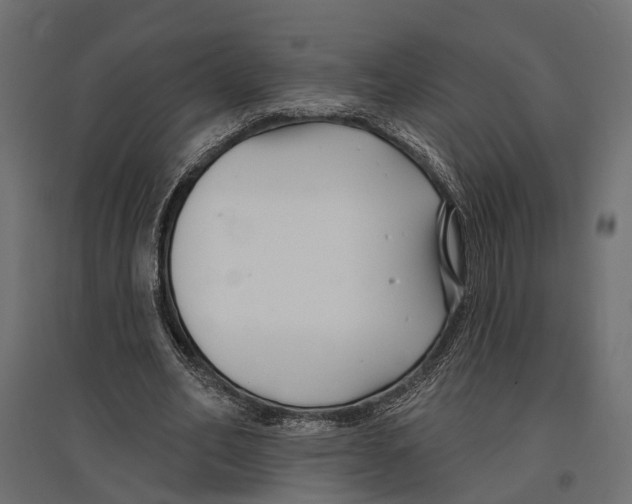 X0000096990582200803071055