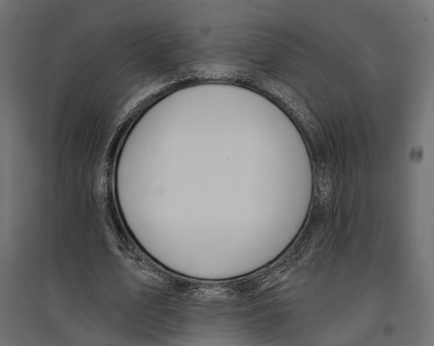 X0000096990583200803071055