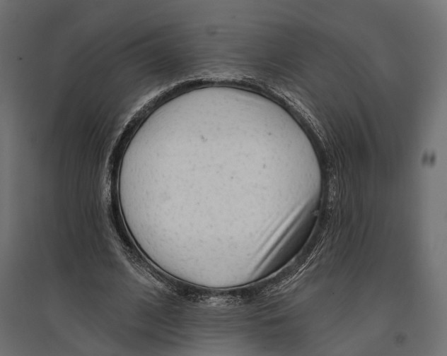 X0000096990584200803071055