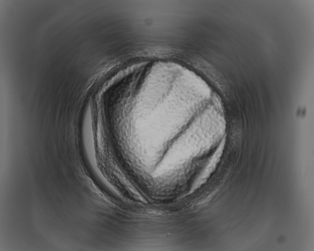 X0000096990585200803071055