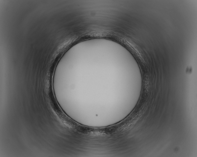 X0000096990586200803071055