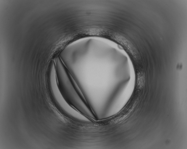 X0000096990589200803071055