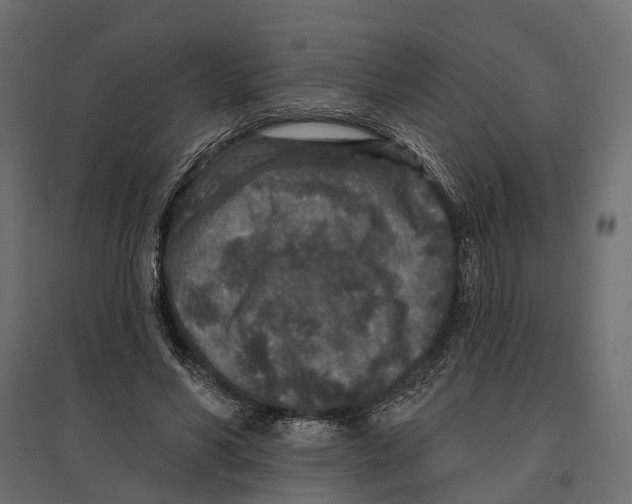 X0000096990590200803071055