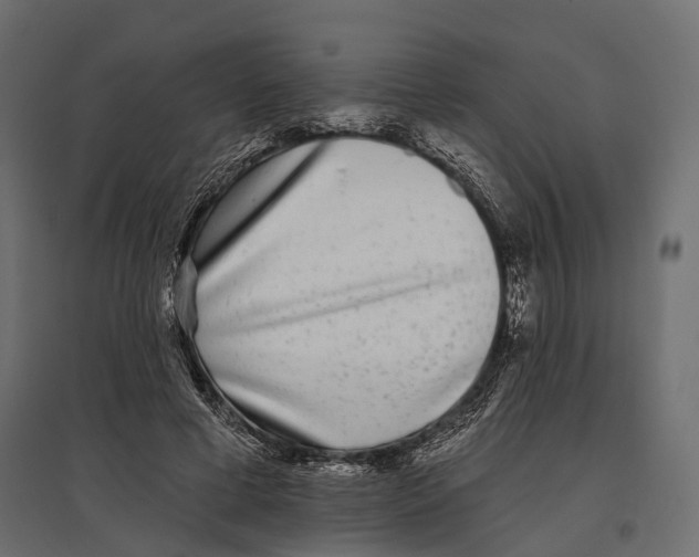 X0000096990593200803071055