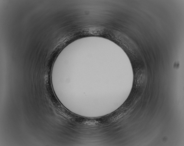 X0000096990595200803071055