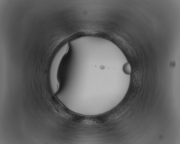 X0000096990596200803071055