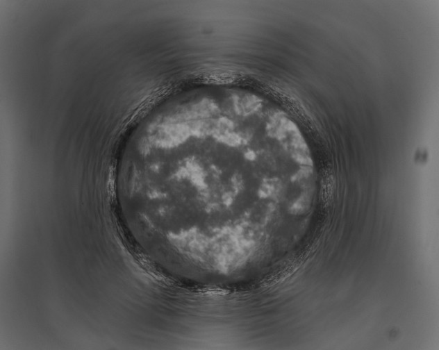 X0000096990598200803071055