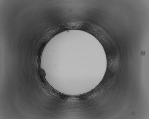 X0000096990599200803071055