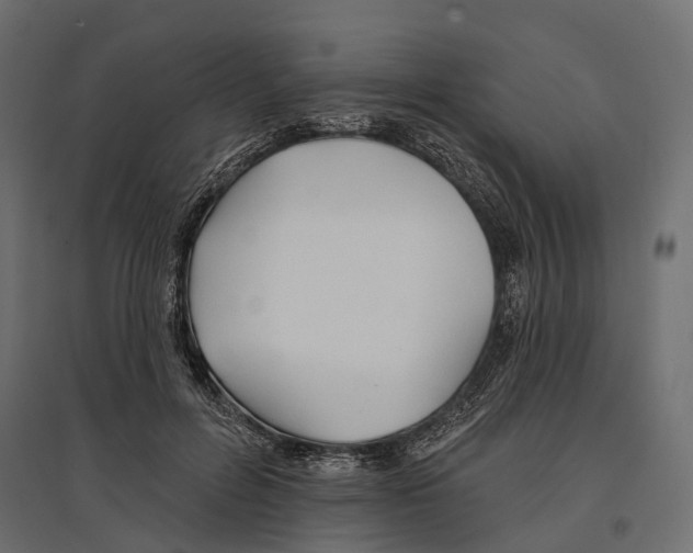 X0000096990600200803071055