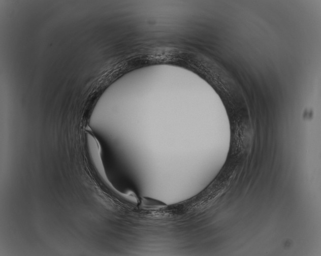 X0000096990601200803071055