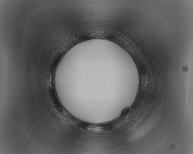 X0000096990602200803071055