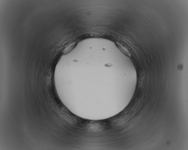 X0000096990604200803071055