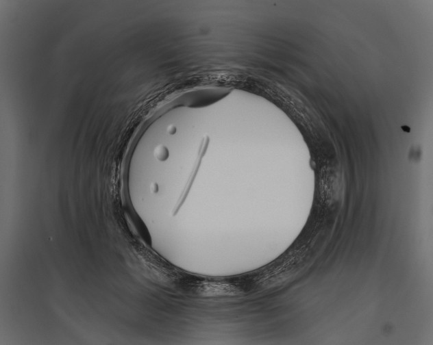 X0000096990605200803071055